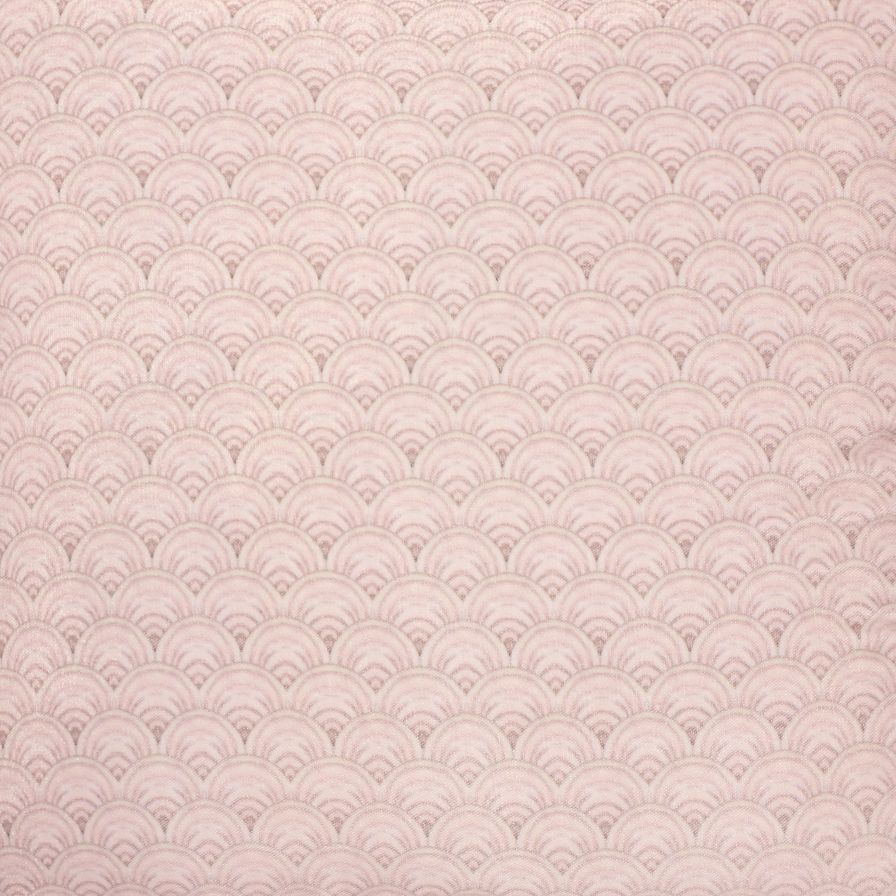 Chandni Velvet Cushion